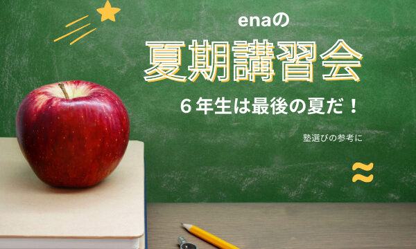 ena】の夏期講習会を徹底解説！費用やその感想も。【都立中の塾選びの